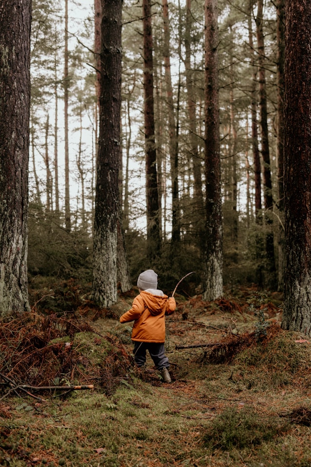 Children engaged in forest school activities