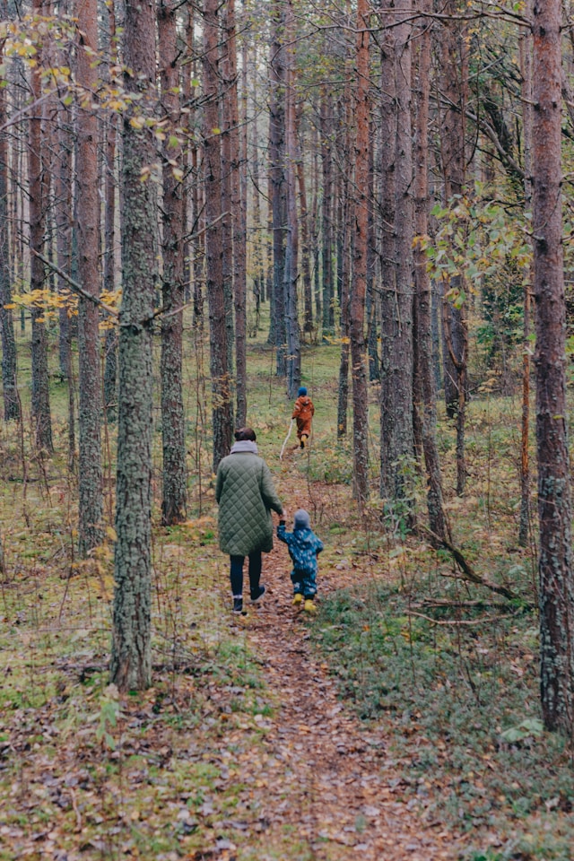 Children benefiting from forest school activities